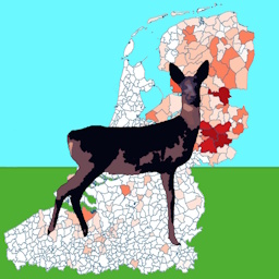 Icoon: Zwarte reeën