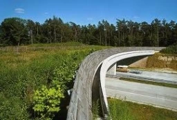 Afbeelding: Natuurbrug