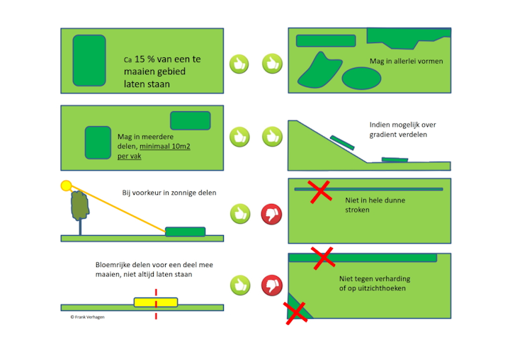 HandOut: Maaien voor biodiversiteit