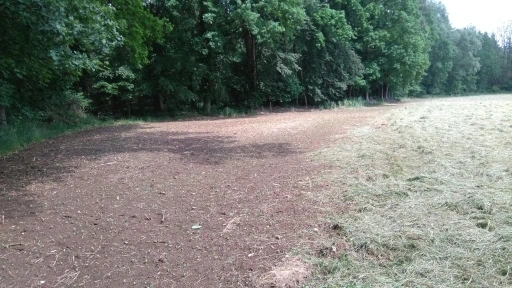 Afbeelding: In mei ingezaaide locatie voor randenbeheer in bosrijk gebied