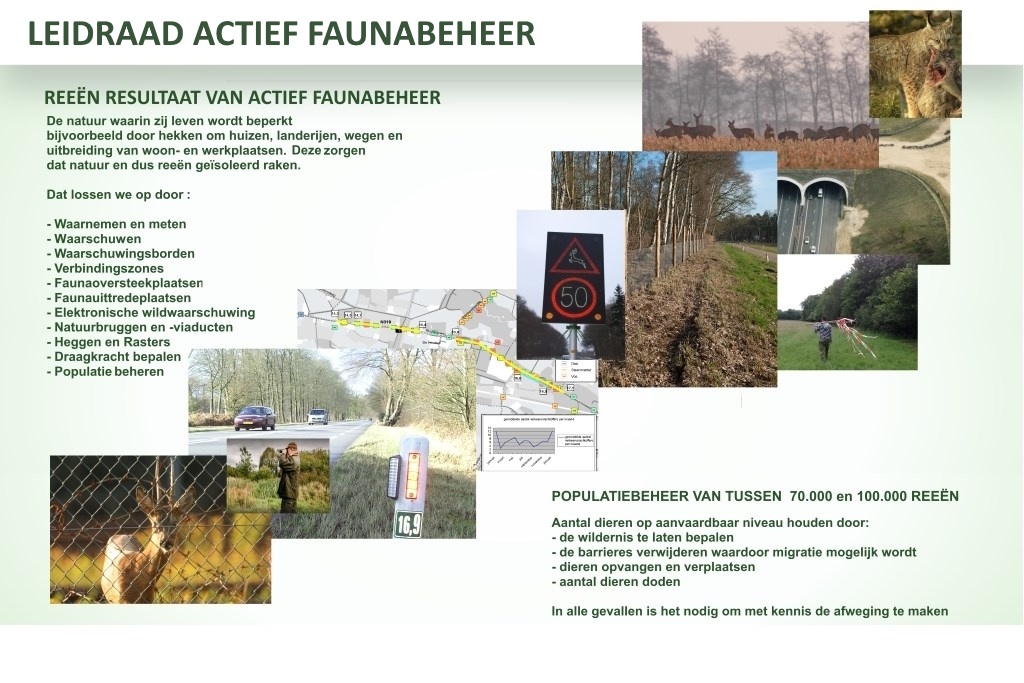 Afbeelding: Het resultaat van actief faunabeheer: Kenniscentrum Reeën. Bron: Herzo van der Wal