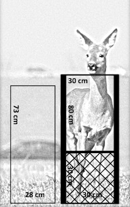Technische tekening van reepoort