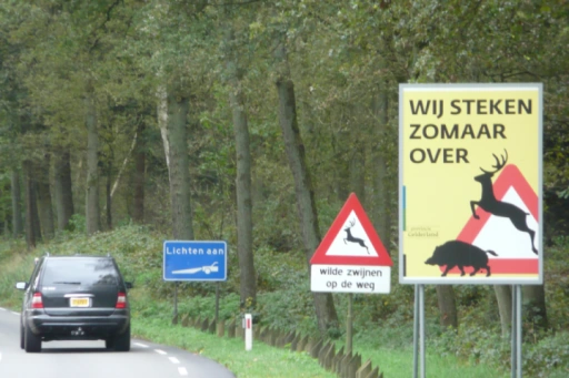 afbeelding: Verkeersbord wij steken zomaar over