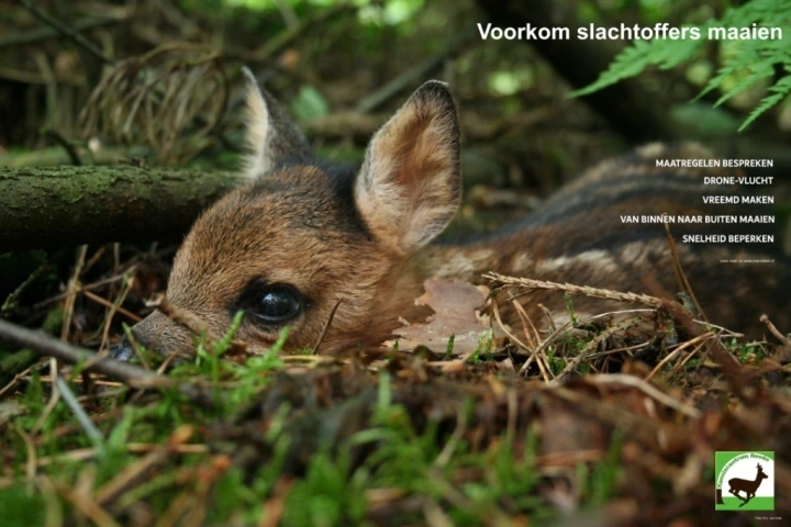 Missie: Voorkom maaislachtoffers!