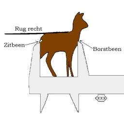 Tekening: Meten romplengte Tekening: Meten romplengte
