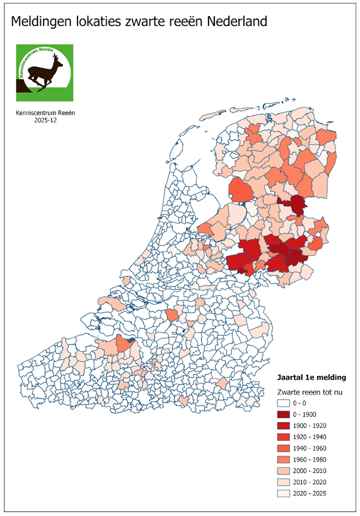 Kaart: Meldingen zwarte reeën Nederland tot 31-12-2025