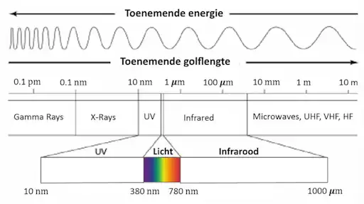 Afbeelding: Wat zintuigen waarnemen zoals de trillingen van licht