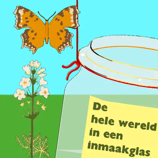 Icoon KcR: Spelend leren