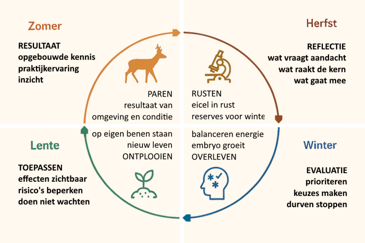 Visualisatie: Jaarwiel activiteiten voor reeën