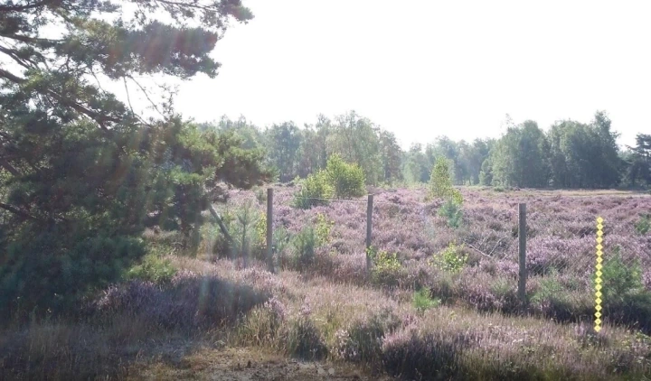 Afbeelding: Wildkerend-raster van één meter twintig hoog